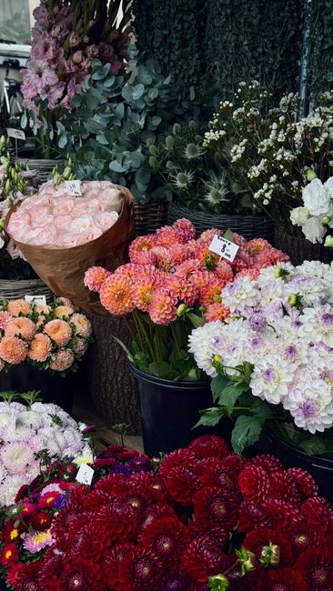 An arrangement of fresh flowers displayed at a floral shop, including peach and pink roses arranged in a small bouquet wrapped in brown paper, soft pink chrysanthemums, white and purple primulas, and 