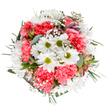 This artfully arranged bouquet, a true celebration of renewal and connection, features radiant white daisies with sun-bright centers nestled among ruffled coral-pink carnations. Fleeting clouds of gypsophila, or baby's breath, impart a light, dreamy quality, and slender alstroemeria buds peep through-each tinged with pale purples and pinks reminiscent of spring evenings along the riverside in Leamouth. Eucalyptus leaves thread a silvery thread throughout the design, contrasting vividly with the vibrant blooms and reflecting the cool tones of the nearby Bow Creek. The palette is fresh, luminous, and soothing-perfect for occasions ranging from joyful birthdays to tokens of gratitude shared among neighbours near Leamouth Park. The round bouquet's exuberant yet tranquil energy makes it a beloved choice for welcoming guests into airy apartments or brightening creative workspaces nestled between the O2 and East India Dock. Created by skilled hands at Florist Leamouth, it is as much an expression of the local community's warmth as it is a visual delight-designed to capture life's happiest moments in every carefully chosen stem.